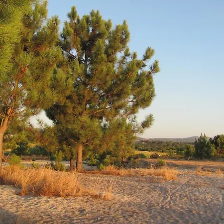 Quinta Dom Fernando Sol Posto