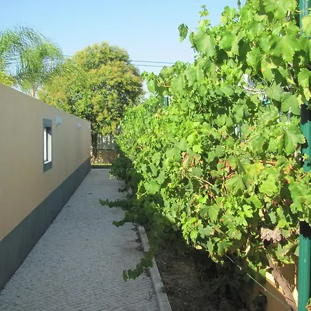 Quinta Dom Fernando Sol Posto