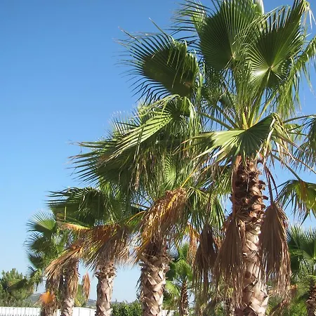 Quinta Dom Fernando Pensjonat Sol Posto